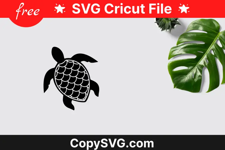 Turtle Svg Free Cut File For Cricut (Updated 2023)